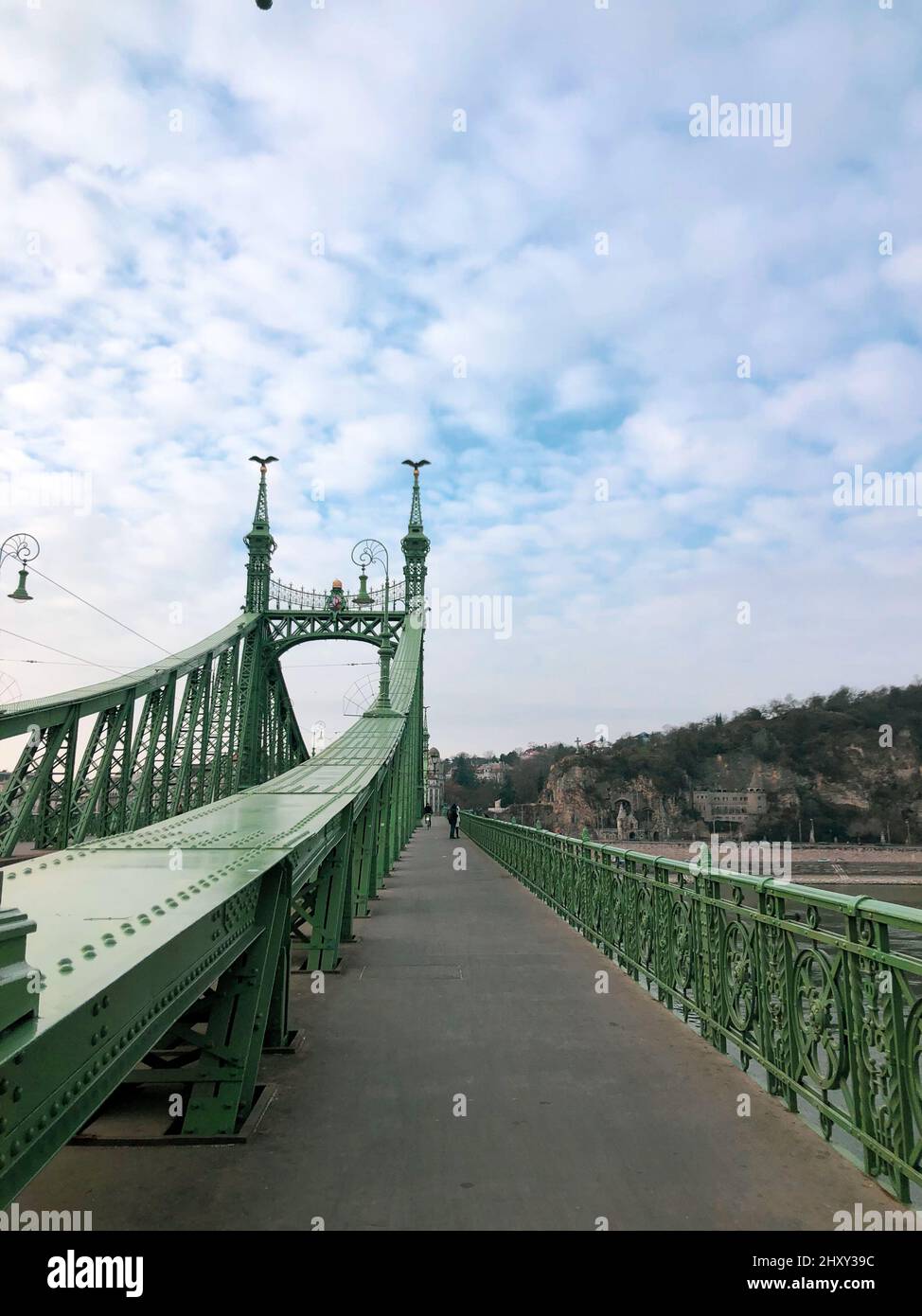 Budapest, Hungary - December 21, 2021: Liberty Bridge in Budapest Hungary, Vertical photo Stock Photo