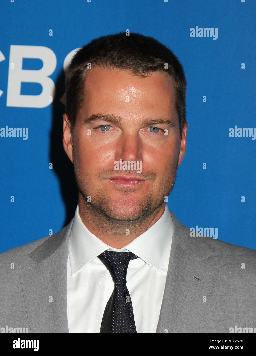 Chris O'Donnell attends the CBS 2012 Upfronts event in New York Stock
