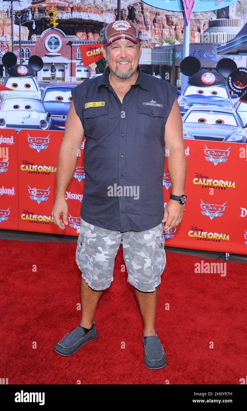 Larry the Cable Guy attends the 'Cars Land' opening at Disney