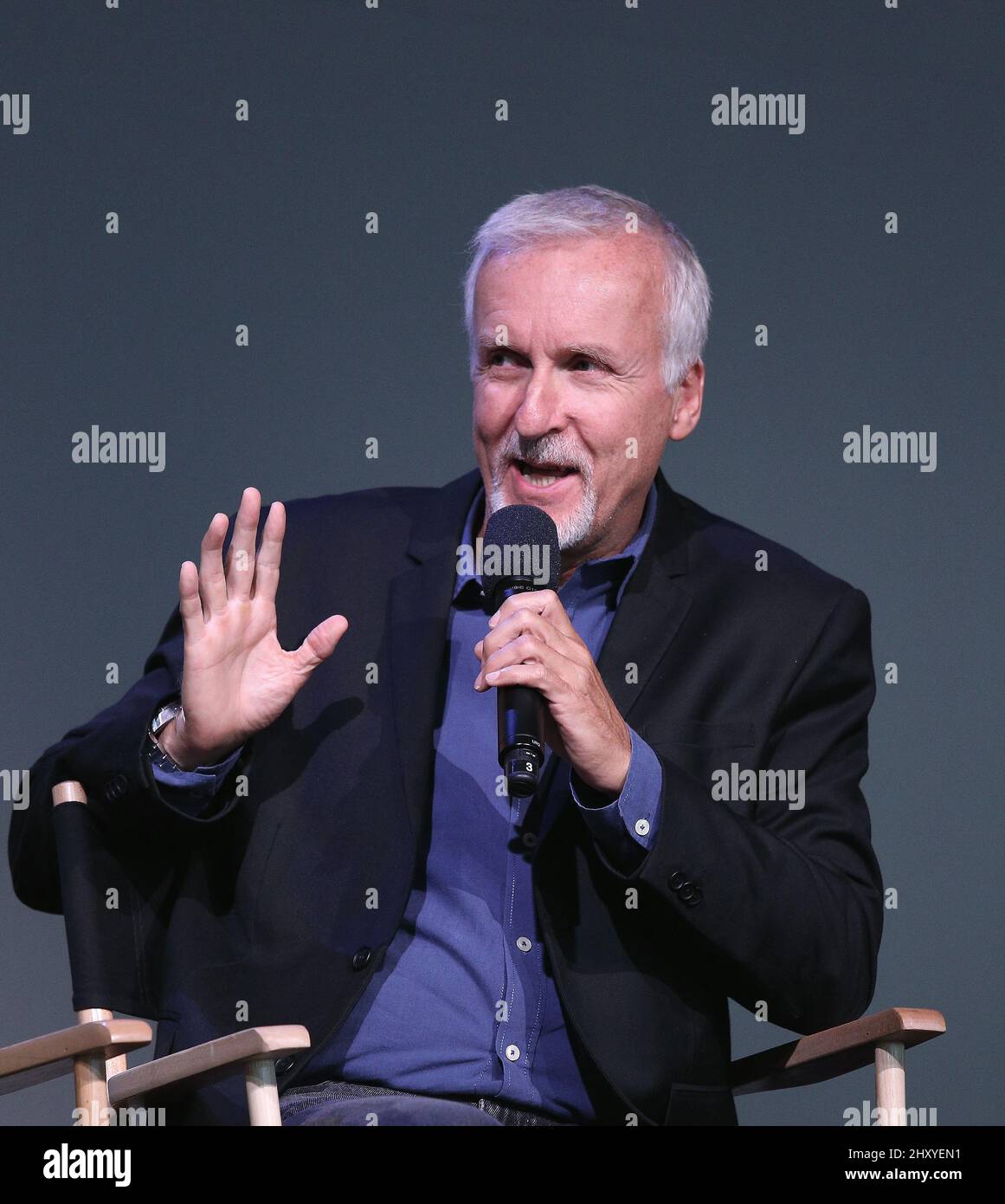 Closeup of James Cameron for DEEPSEA CHALLENGE 3D in New York City Stock Photo