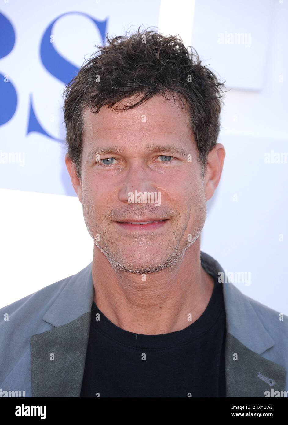Dylan Walsh attends the CBS, Showtime and The CW Summer 2012 TCA Party