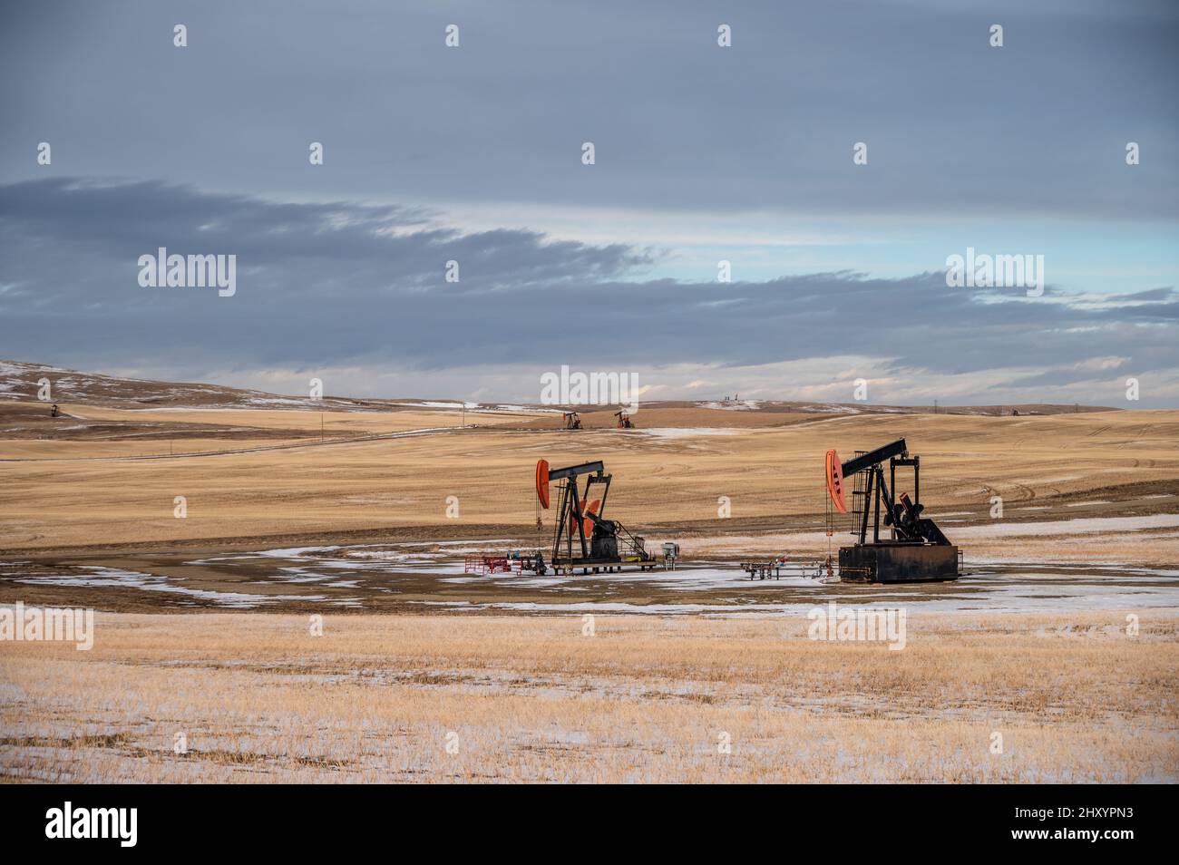 Pump jacks working in the oilfields of Alberta, Canada Stock Photo Alamy