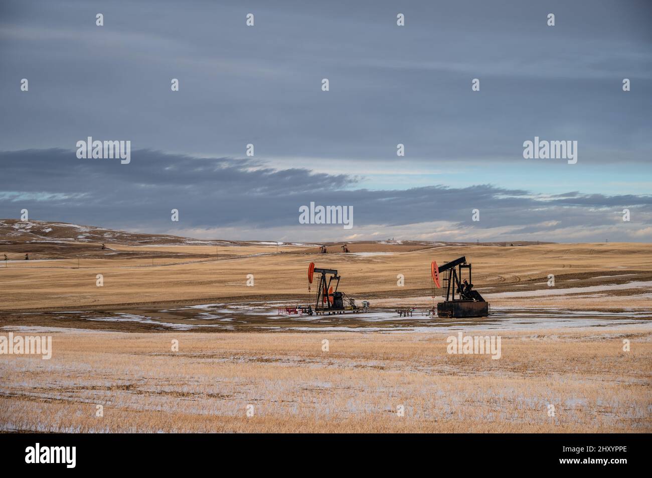 Pump jacks working in the oilfields of Alberta, Canada Stock Photo Alamy