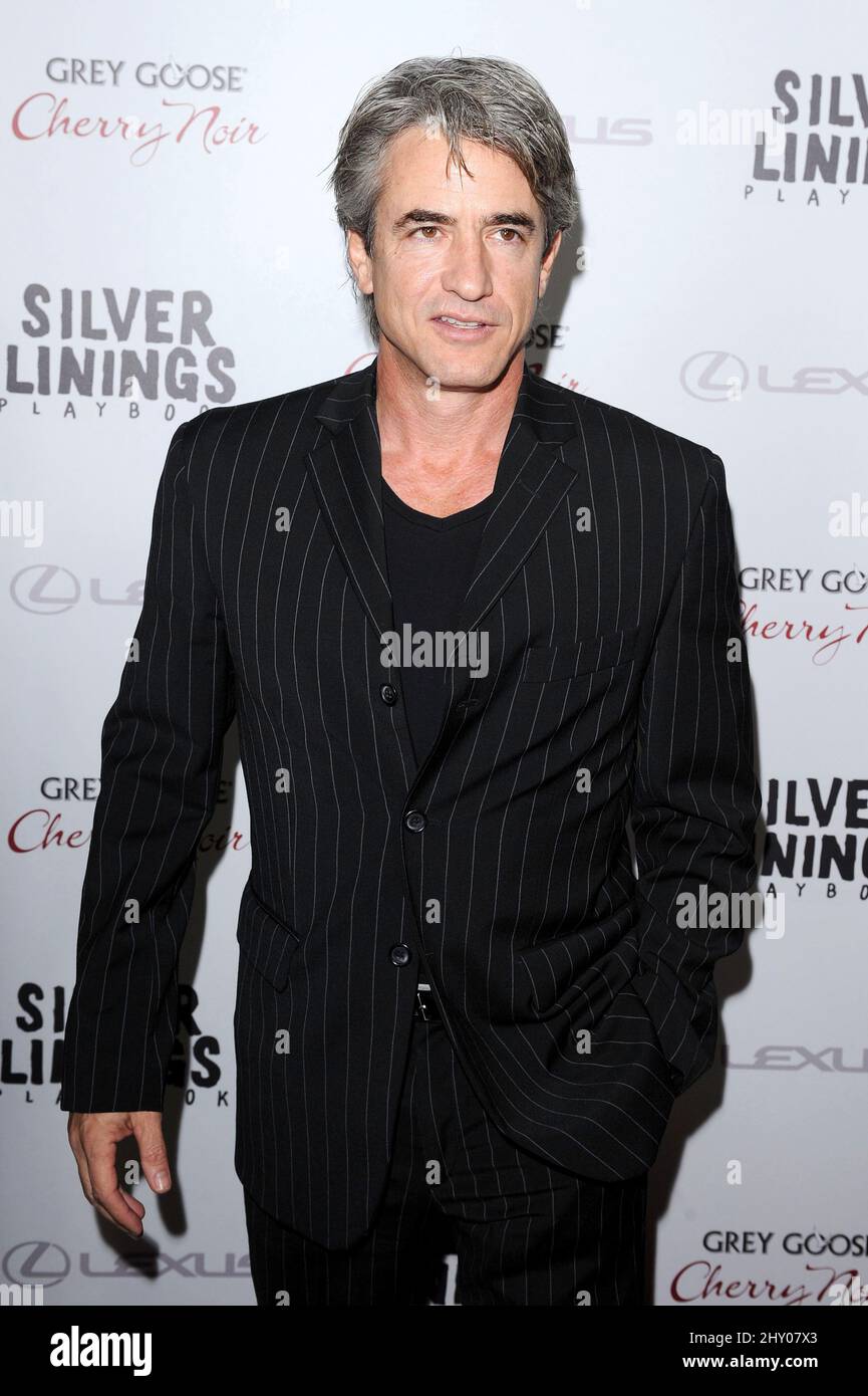 Dermot Mulroney attending the "Silver Linings Playbook" special