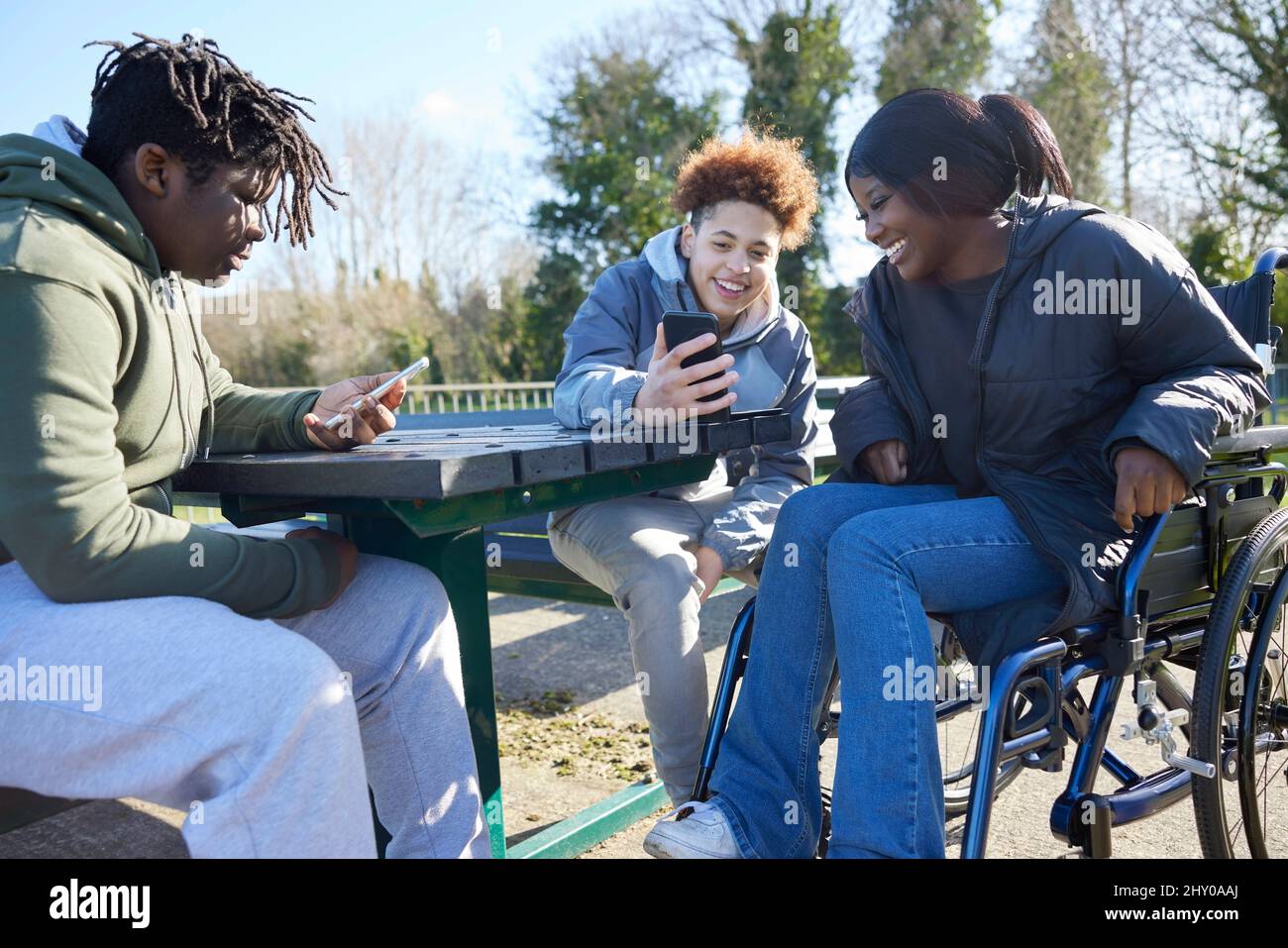 Teenage Girl In Wheelchair With Friends Looking At Social Media On Mobile Phones In Park Stock Photo