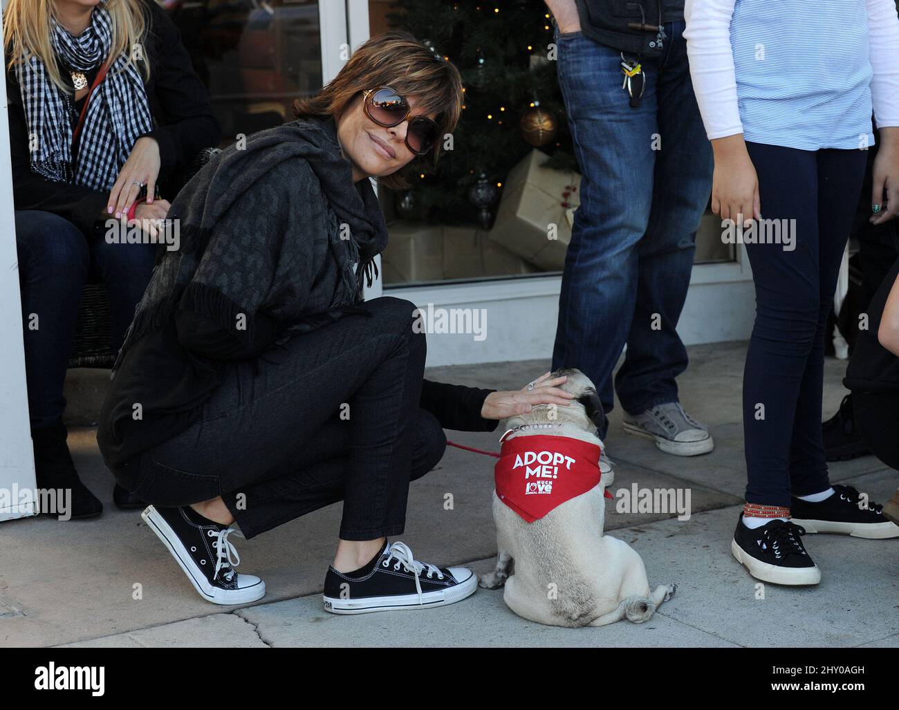 Lisa Rinna, considers adopting a dog attends Tori Spelling hosts 'Holiday Bazaar' at her store Inventori, California. Stock Photo