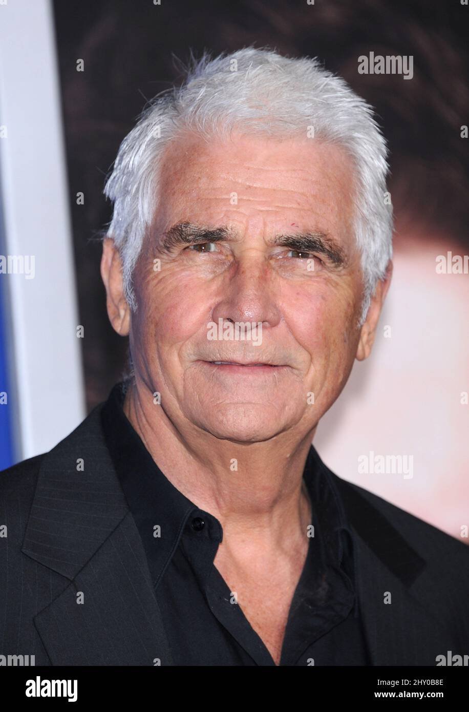 James Brolin attending the premiere of 'The Guilt Trip' in Los Angeles, California. Stock Photo