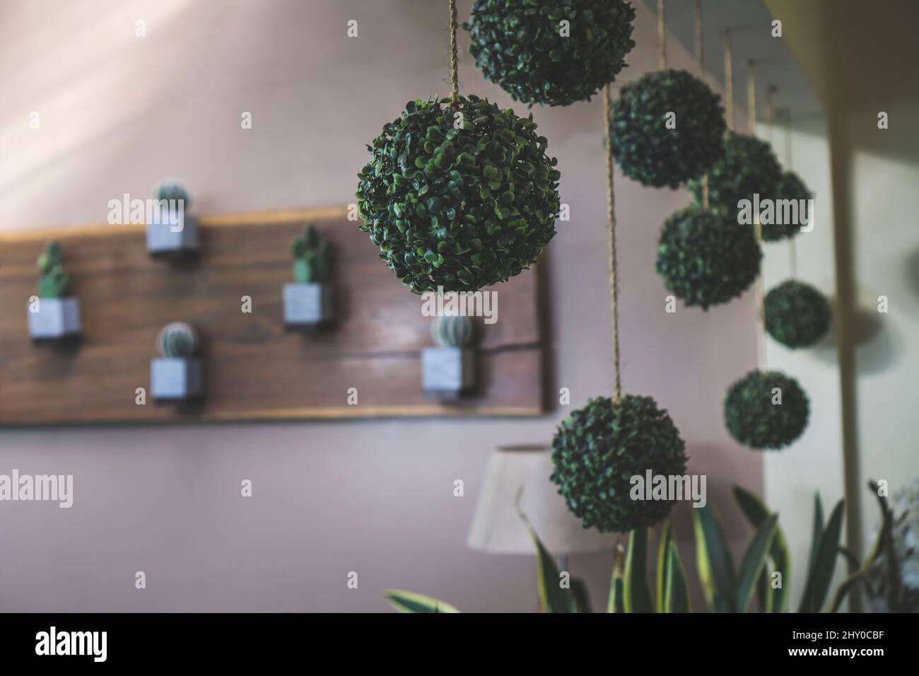 Hanging fake indoor plants from a wall in the shape of ball. Balls of