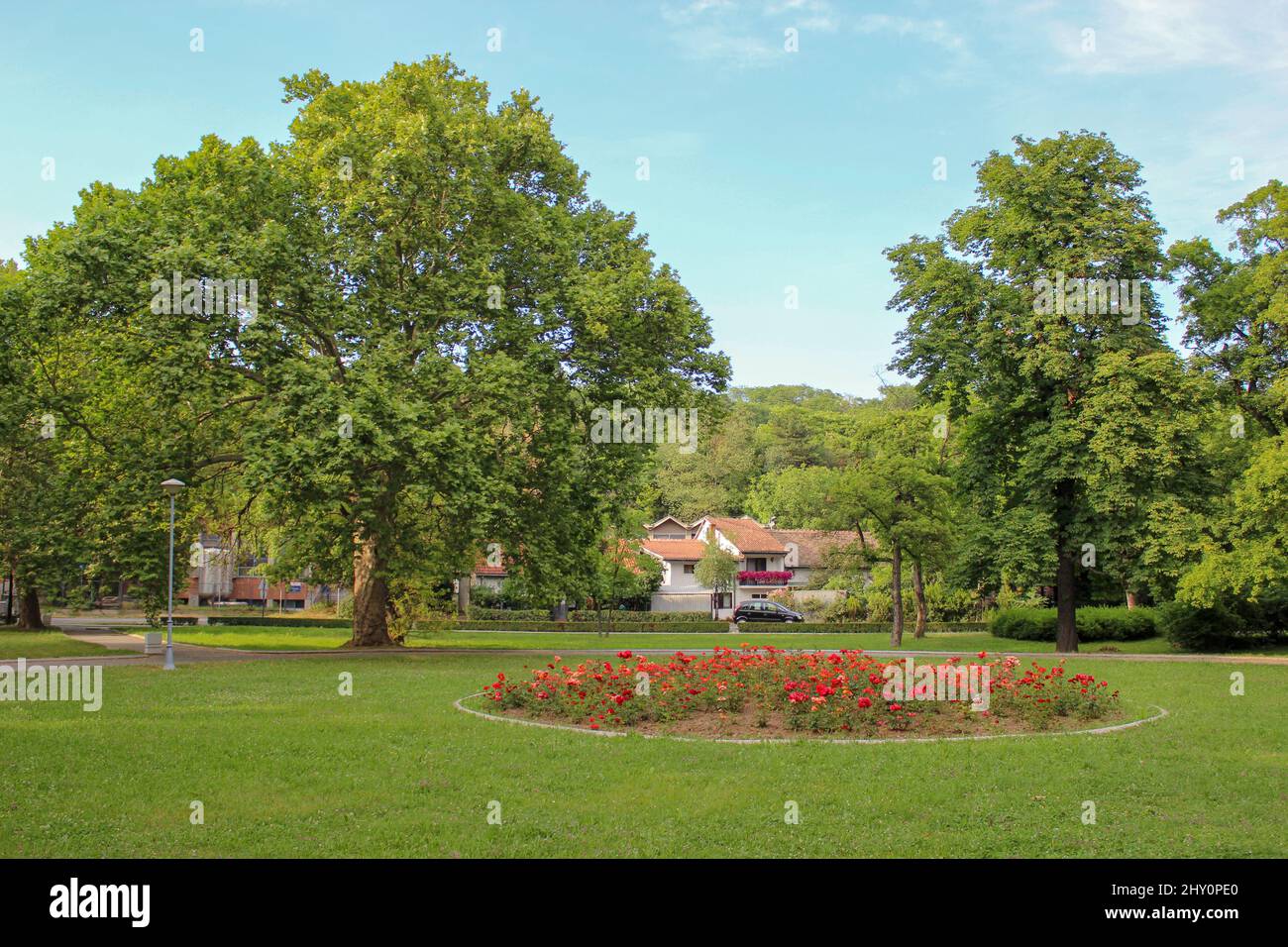 Beautiful garden with green trees and blooming red flowers Stock Photo ...