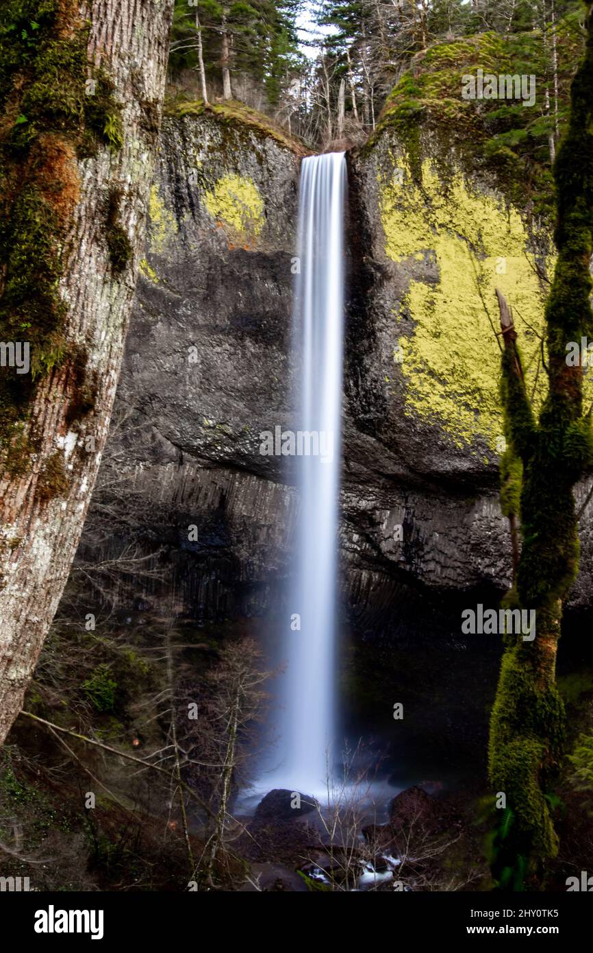 Vertical shot of a waterfall flowing down the rocks covered with moss ...