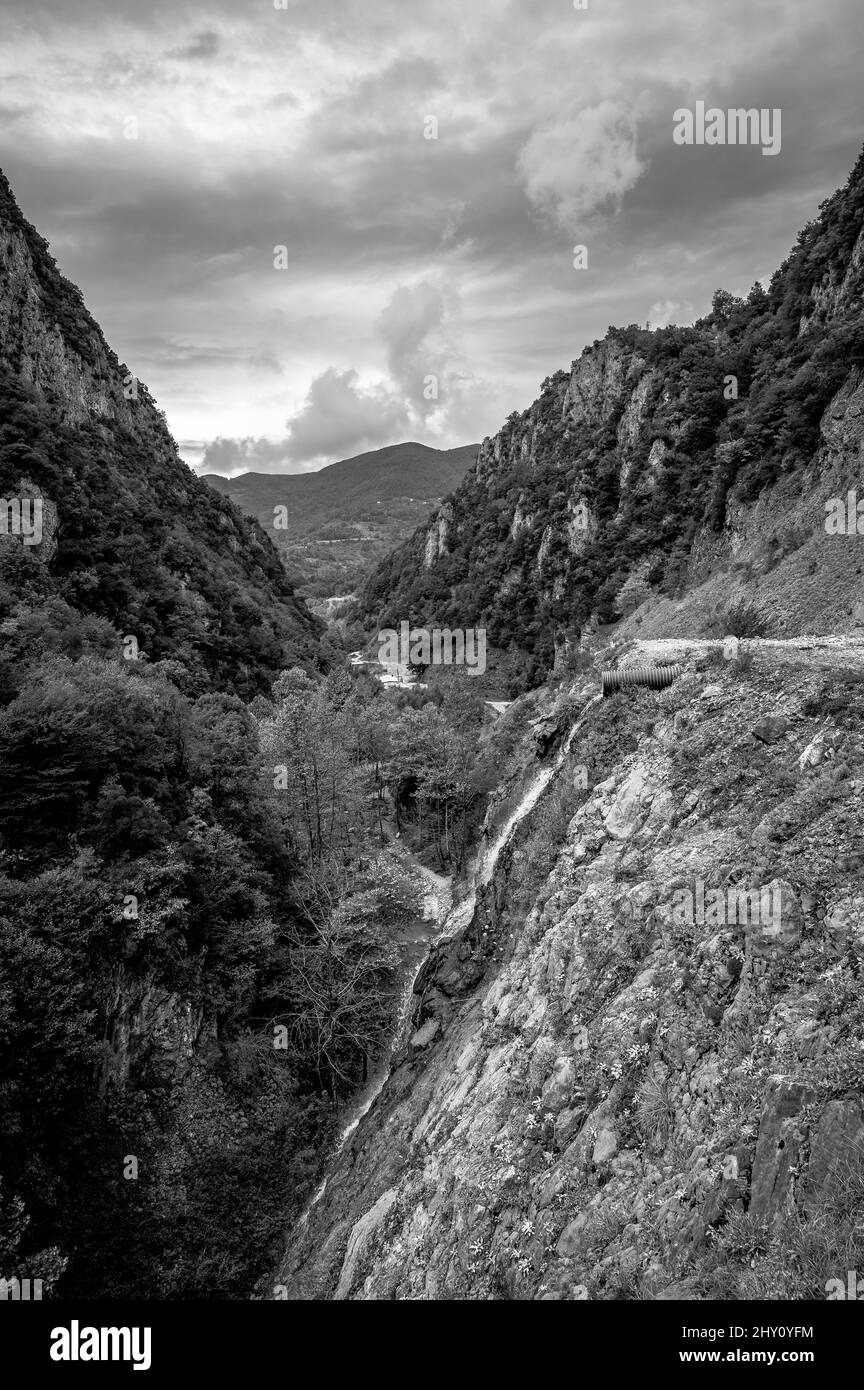 View of rocky mountain landscape with dense forest in black and white ...