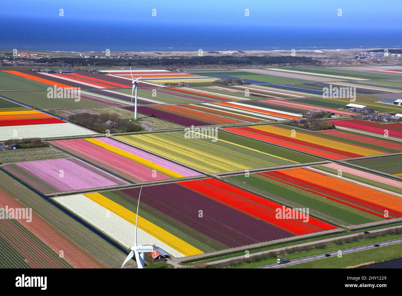 A general aerial view of the North Holland Bulb Fields from the 2012