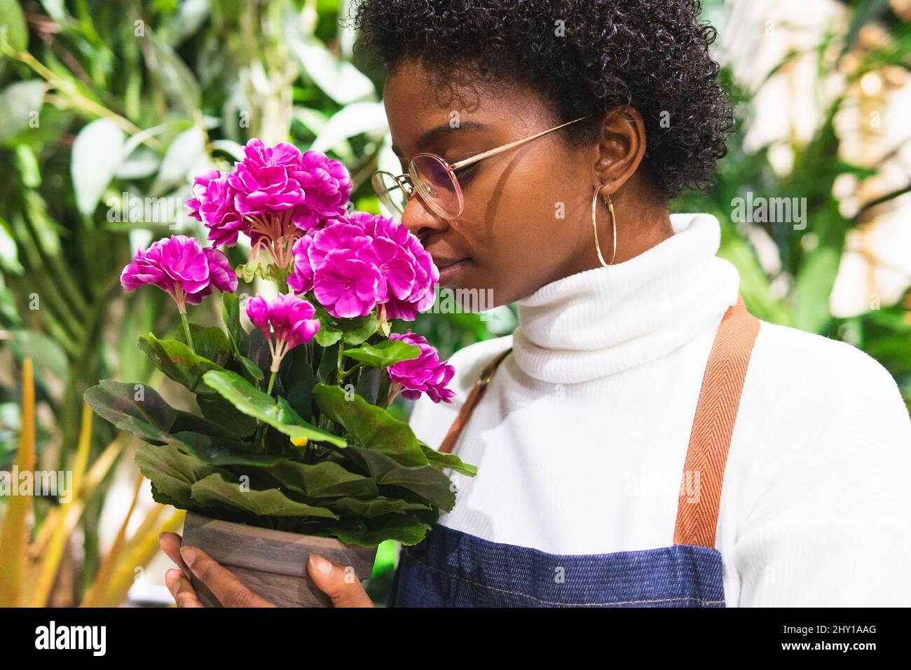 African American female florist in eyeglasses smelling potted purple Pelargonium flowers with green leaves while working in light floral shop Stock Photo