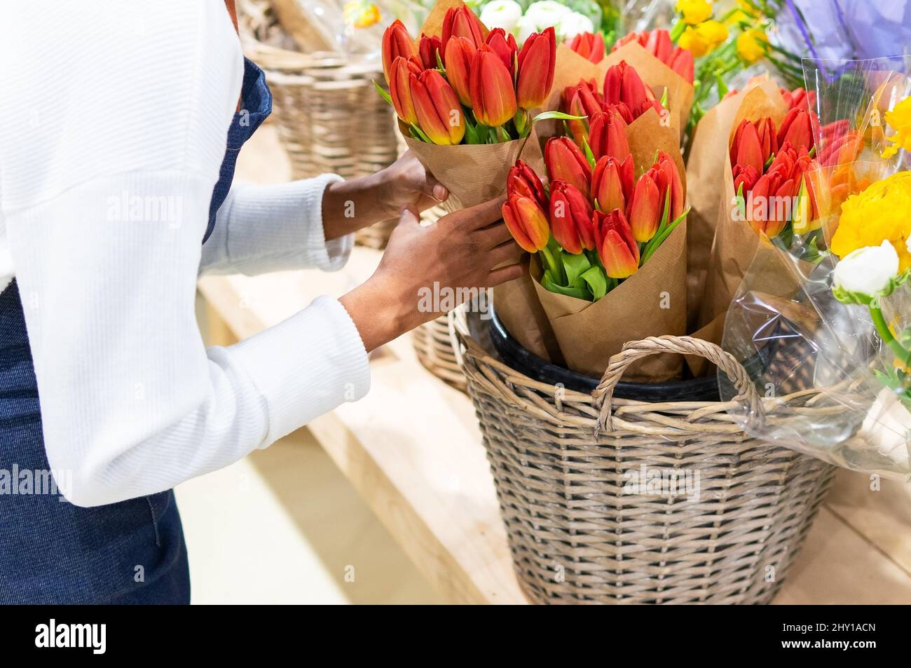 Cropped unrecognizable African American female florist looking at bouquet of fresh red tulips while standing in floral shop with various plants Stock Photo