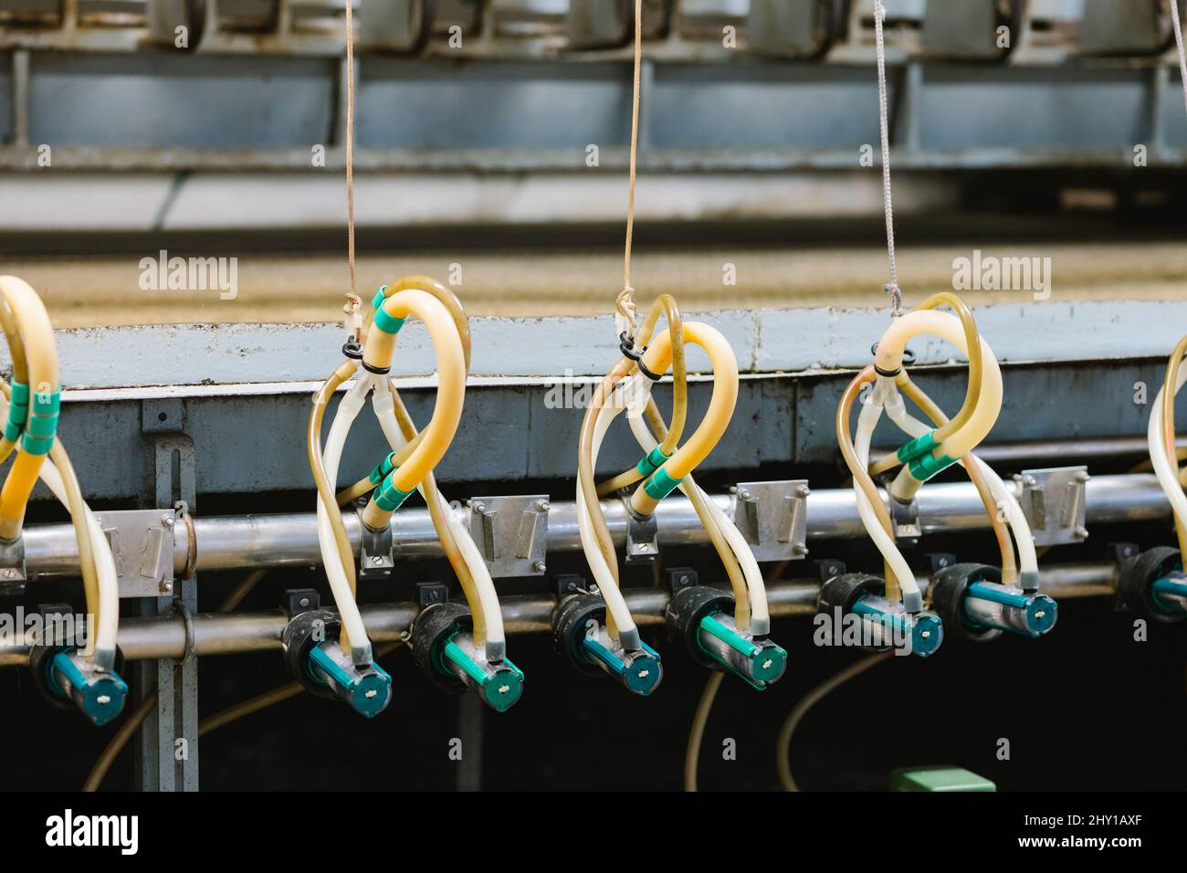 Special modern milking machine with metal pipeline and tubes suspended from strings placed in industrial light factory with professional equipment Stock Photo