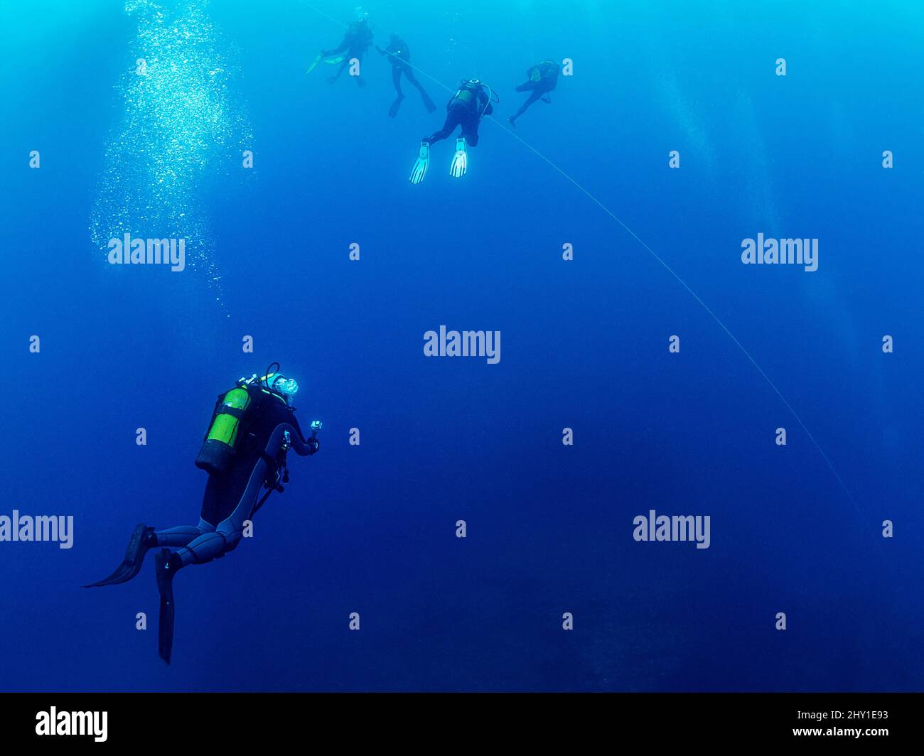 Professional swimmer light hires stock photography and images Alamy