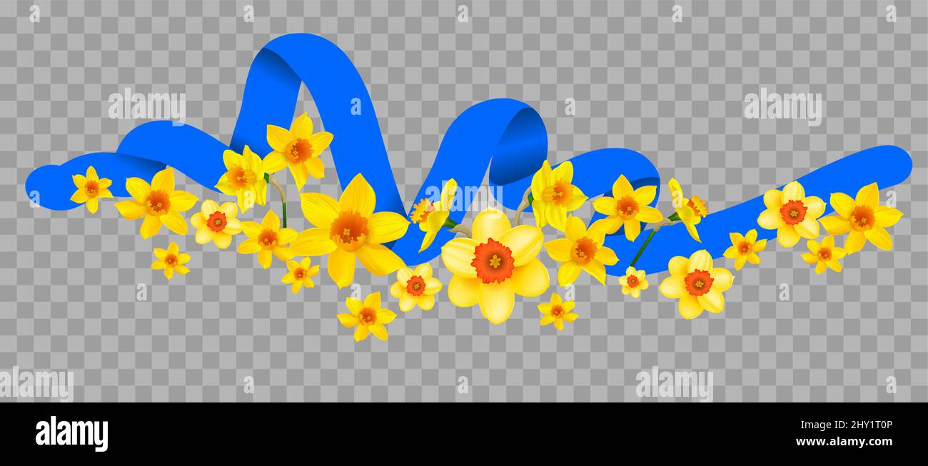 Daffodils with a blue ribbon Stock Vector