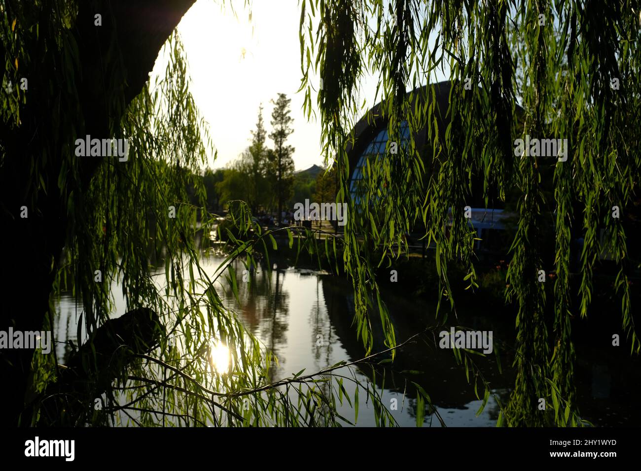 Beautiful view of a lake with trees in a park at sunset Stock Photo - Alamy
