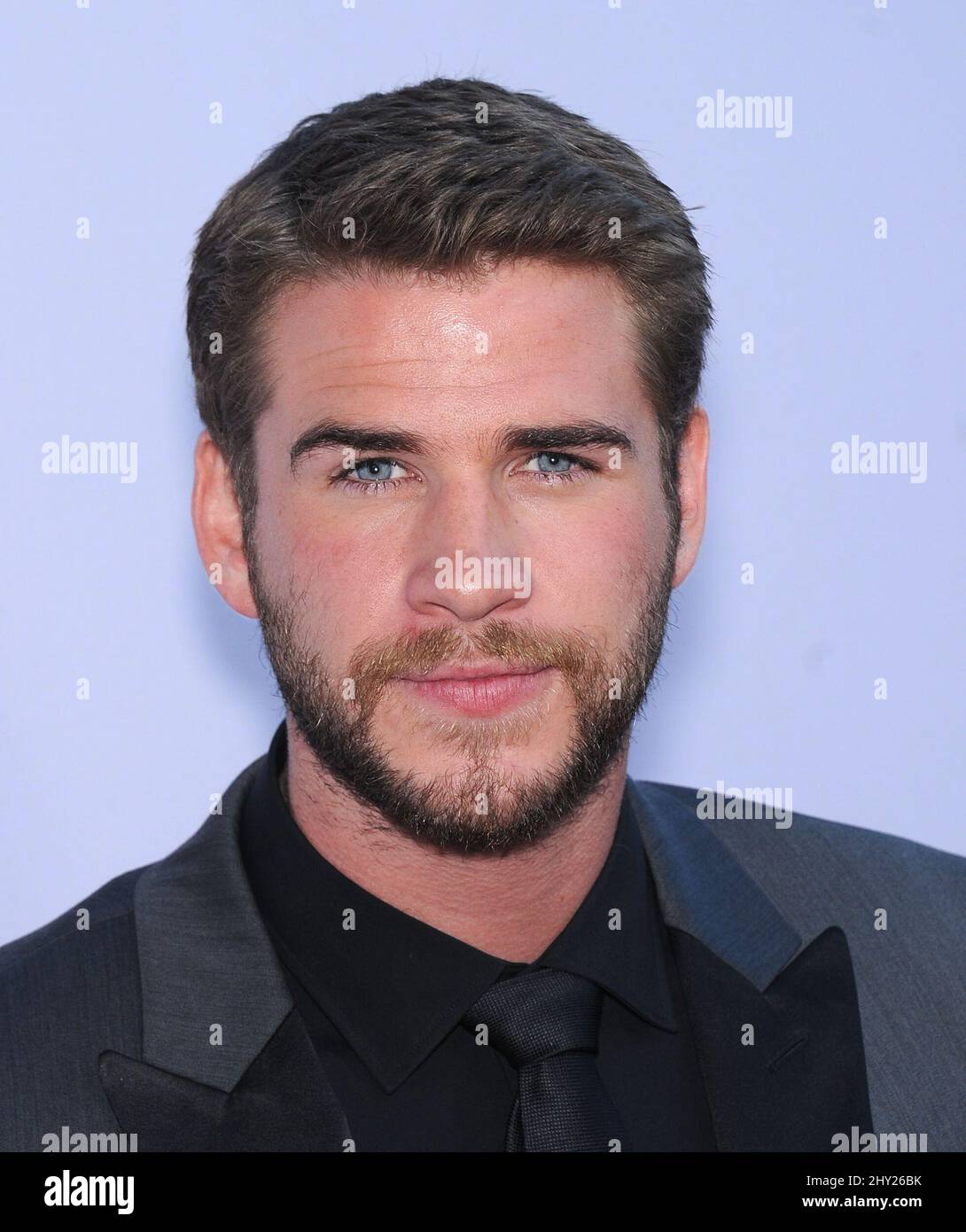 Liam Hemsworth attends the 'Paranoia' US premiere held at the Directors Guild of America, Los Angeles. Stock Photo