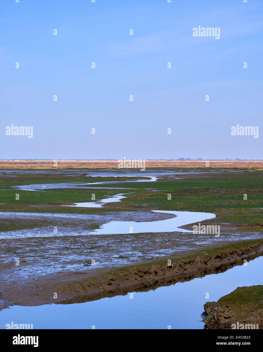 Closeup of natural walkways through Ria de Aveiro on a low tide Stock ...