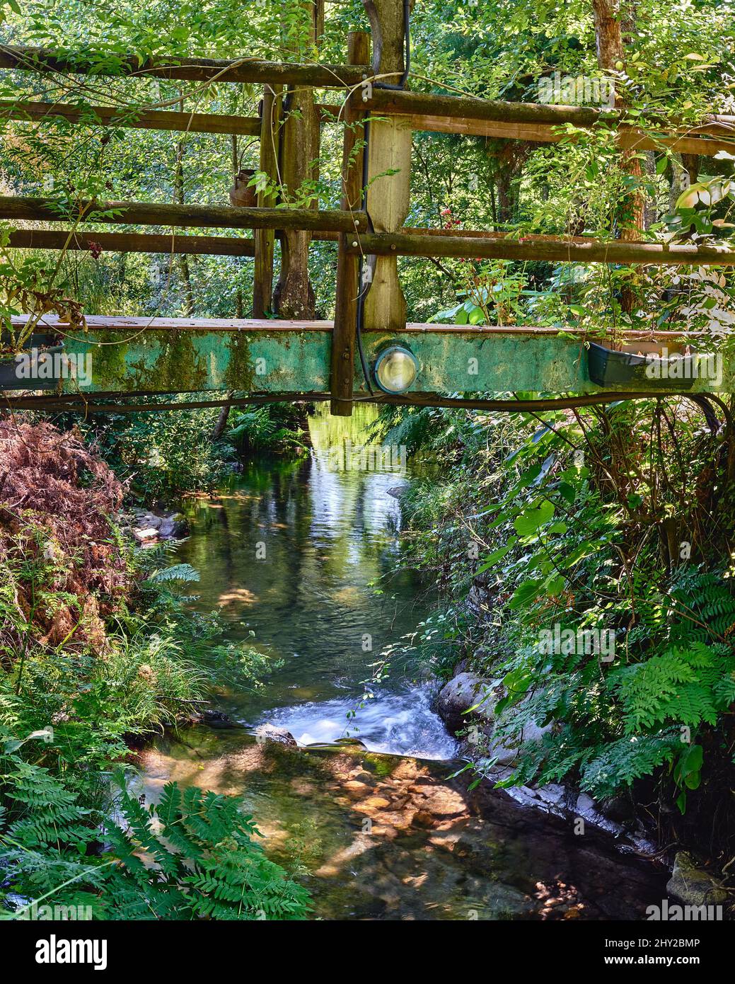 Closeup of a trail and a walkway through the forest in Ribeira de Fraguas, Aveiro, Portugal Stock Photo