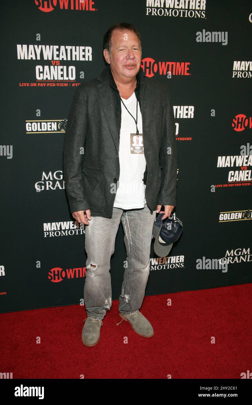 Garry Shandling attending the Floyd Mayweather Jr. vs. Saul Canelo Alvarez Pre-Fight VIP Party at MGM Grand Garden Arena in Las Vegas, USA. Stock Photo