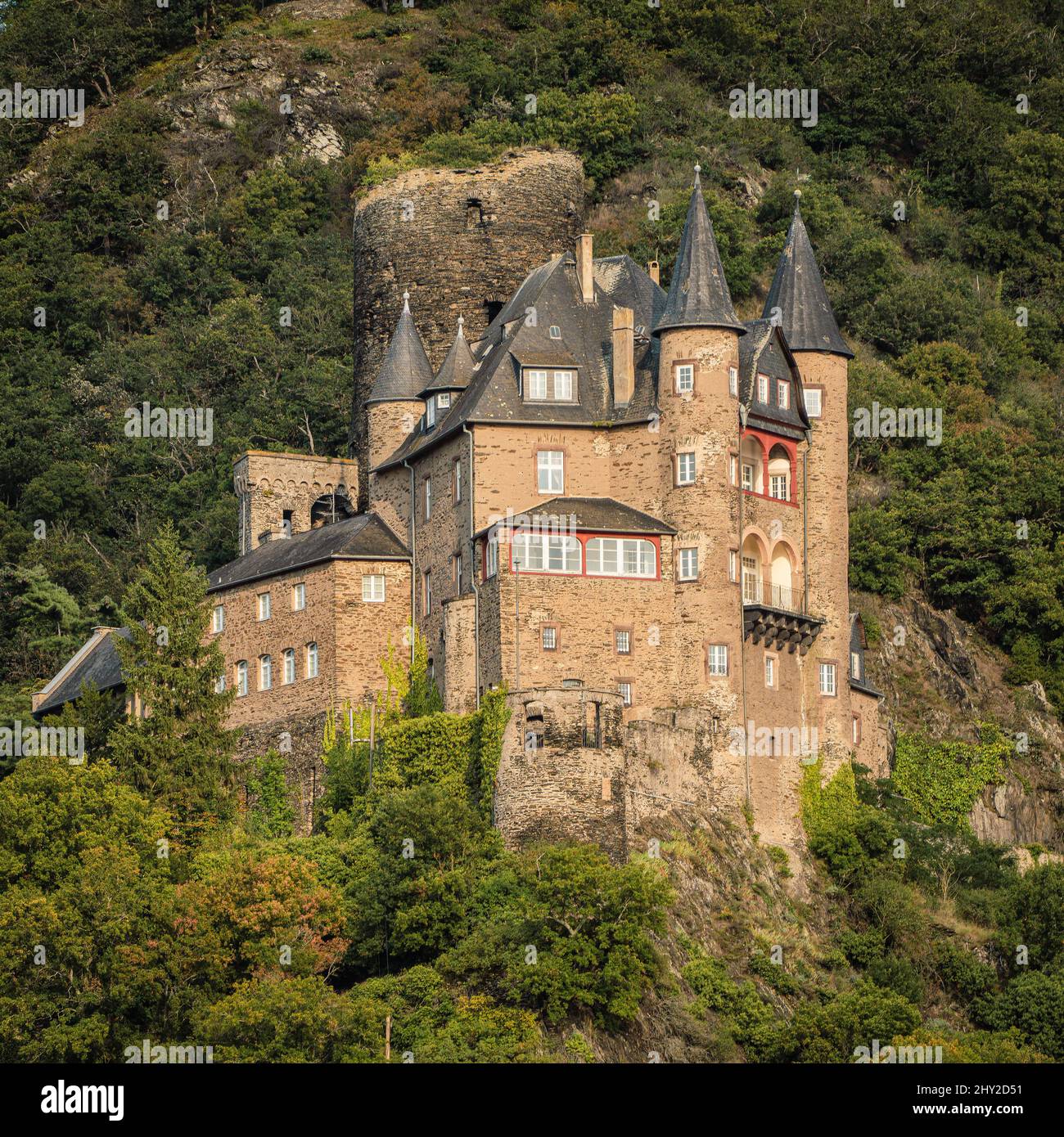 Katz castle, Burg Katz above the town of St. Goarshausen in Rhineland-Palatinate, Germany Stock Photo