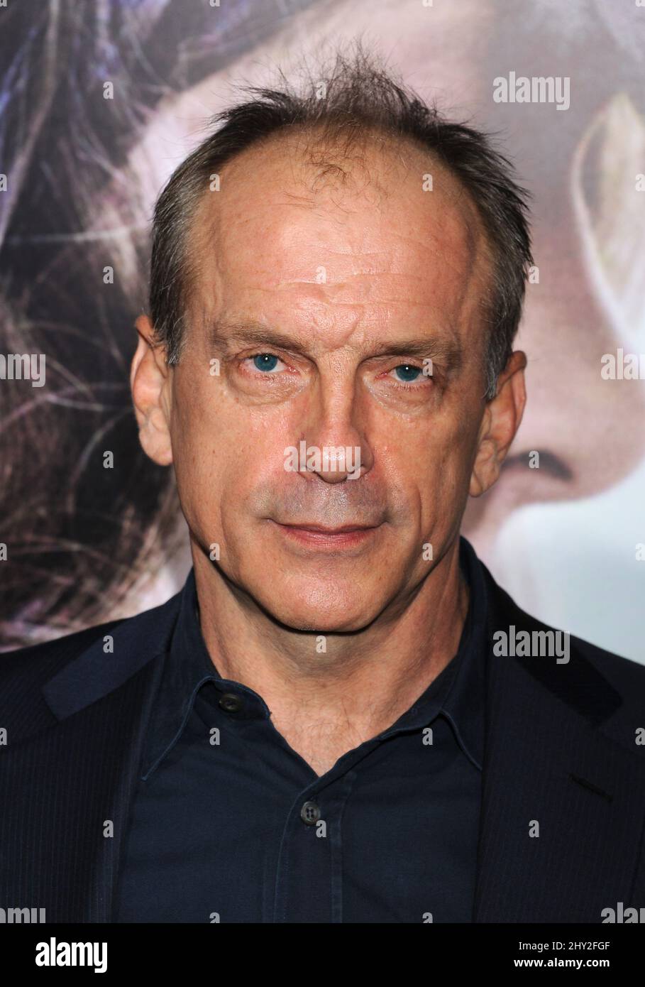 Tomas Arana attending the 'Romeo & Juliet' World Premiere held at the ArcLight Cinemas Hollywood in Los Angeles, USA. Stock Photo