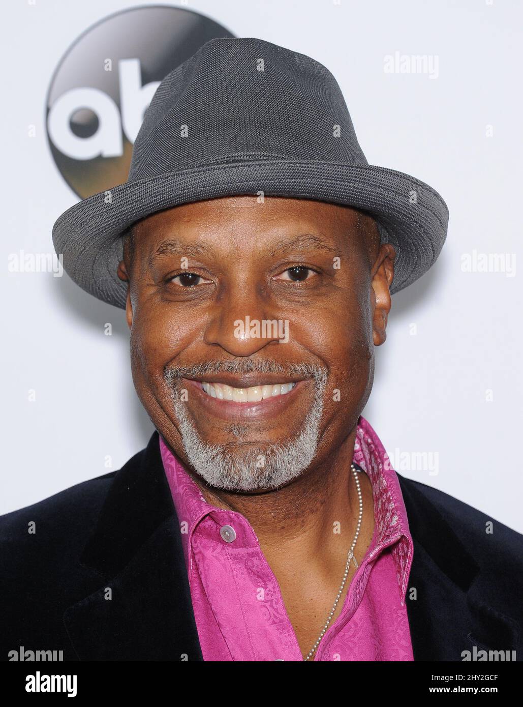 James Pickens Jr. James Pickens Jr attending the "Grey's Anatomy" 200th Episode