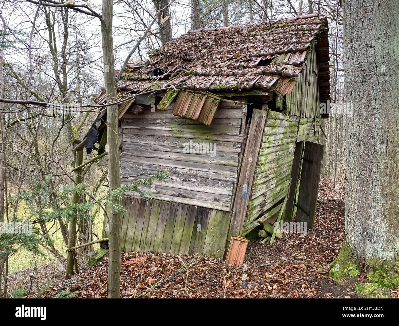 Broken wooden house in a forest Stock Photo Alamy