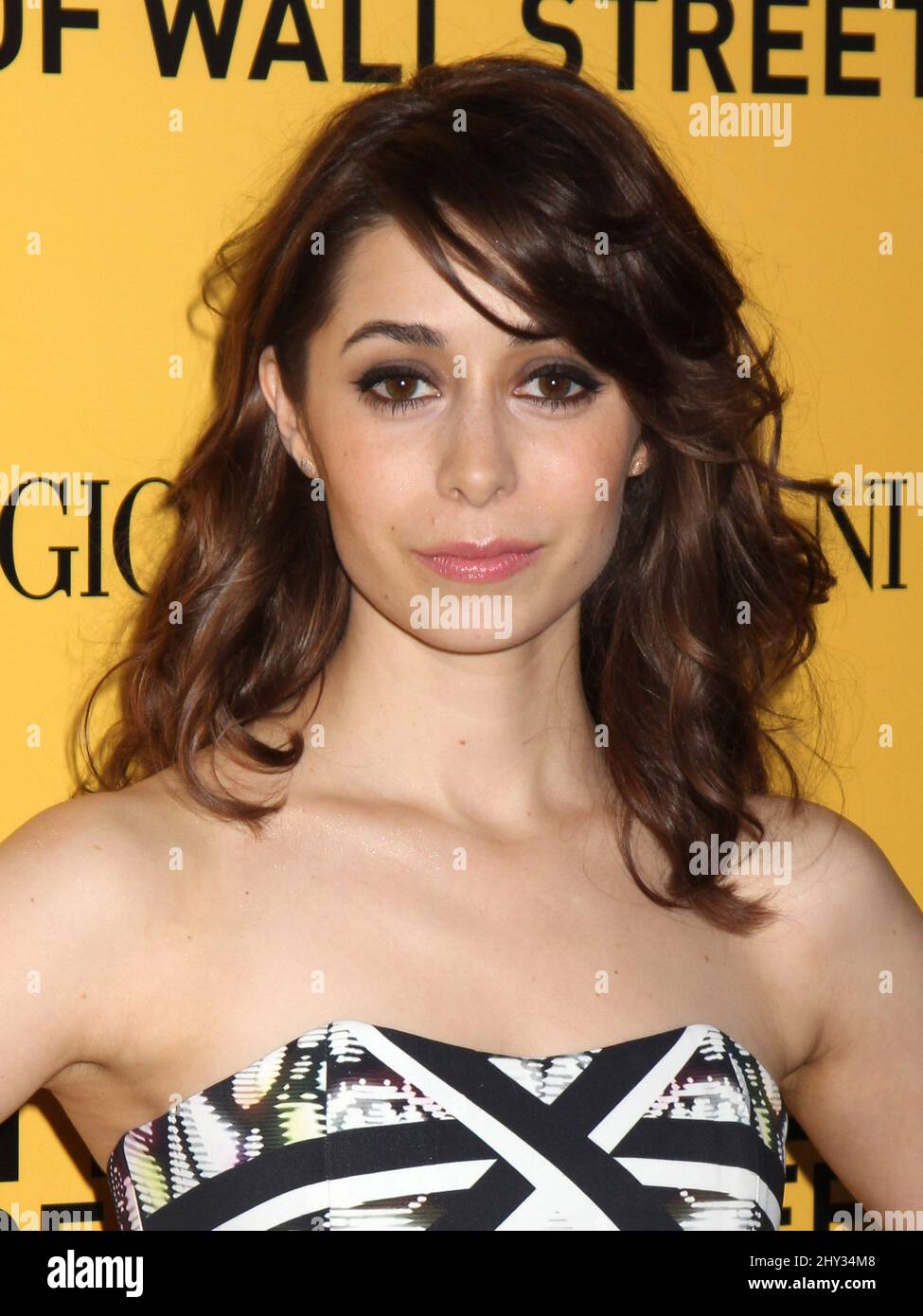 Cristin Milioti attending the premiere of "The Wolf of Wall Street" in New York Stock Photo Alamy