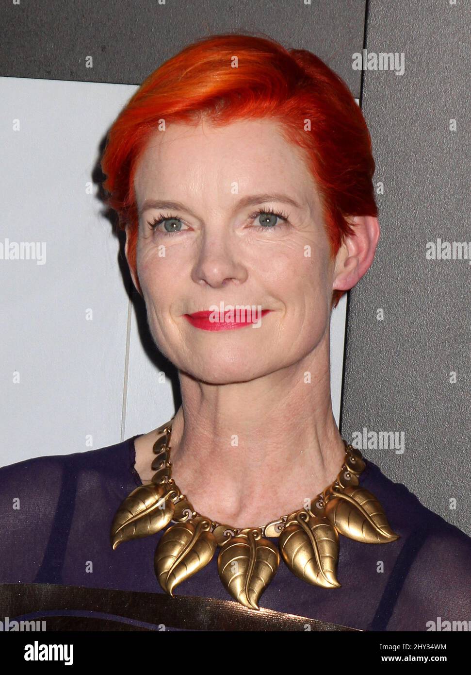 Sandy Powell New York Premiere Hi Res Stock Photography And Images Alamy