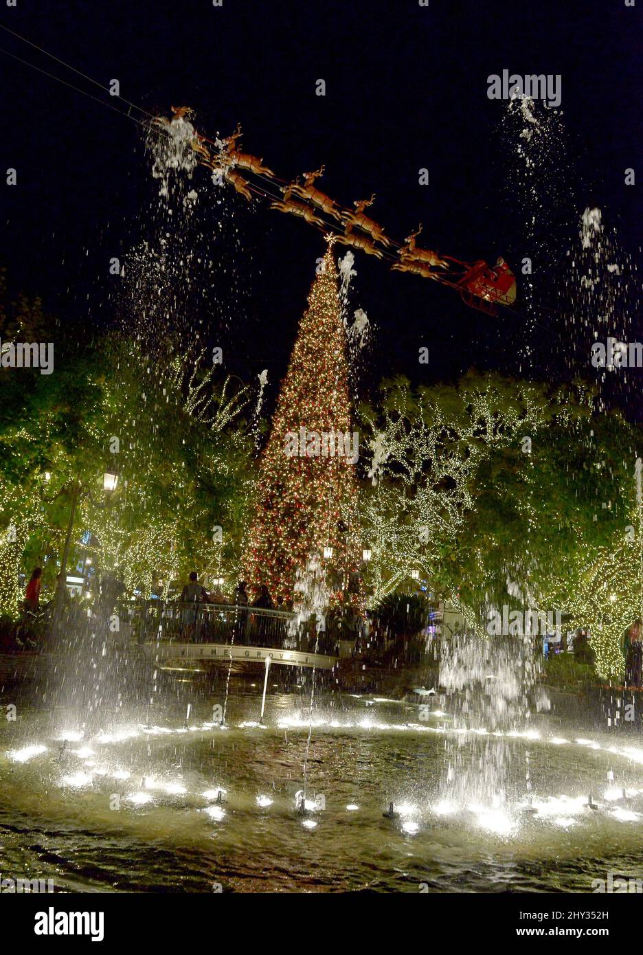 Christmas At The Grove 2024 Donni Gaylene