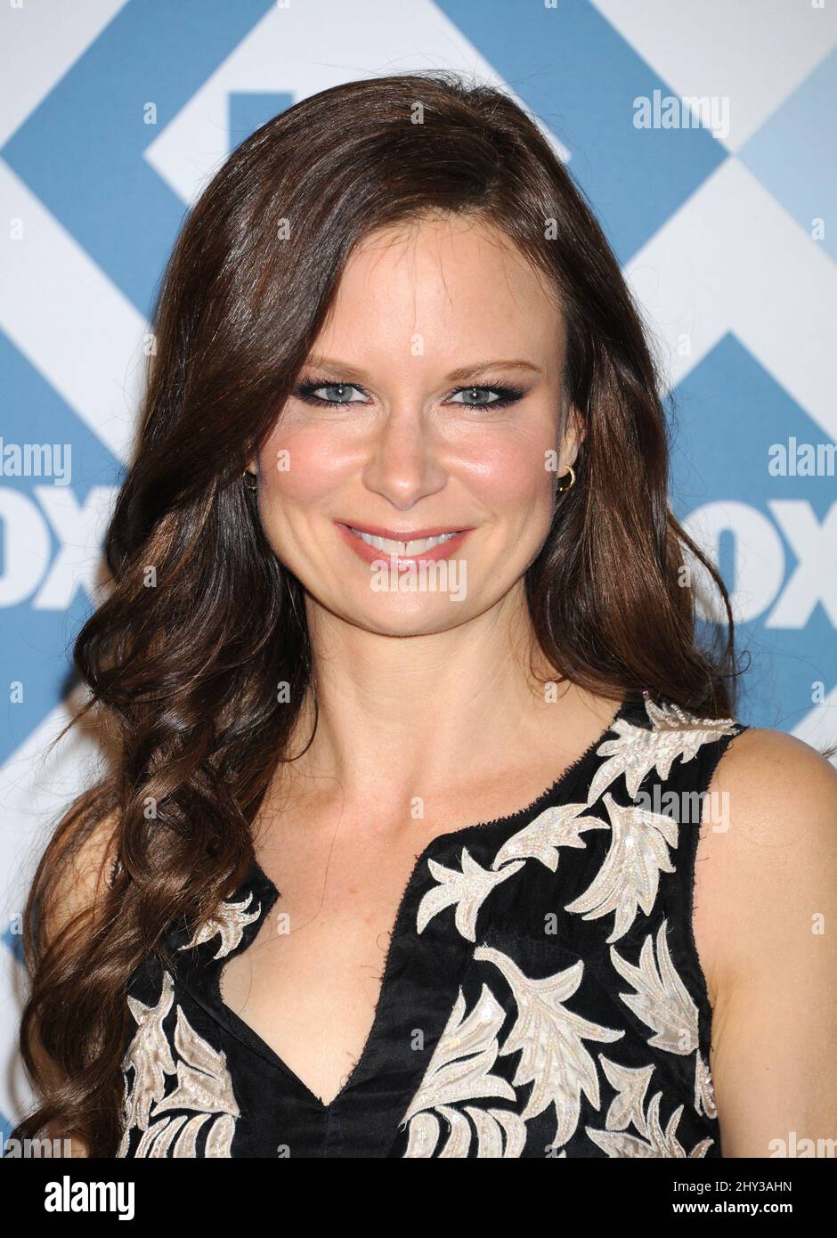 Mary Lynn Rajskub attending the FOX Winter AllStar TCA Party at the