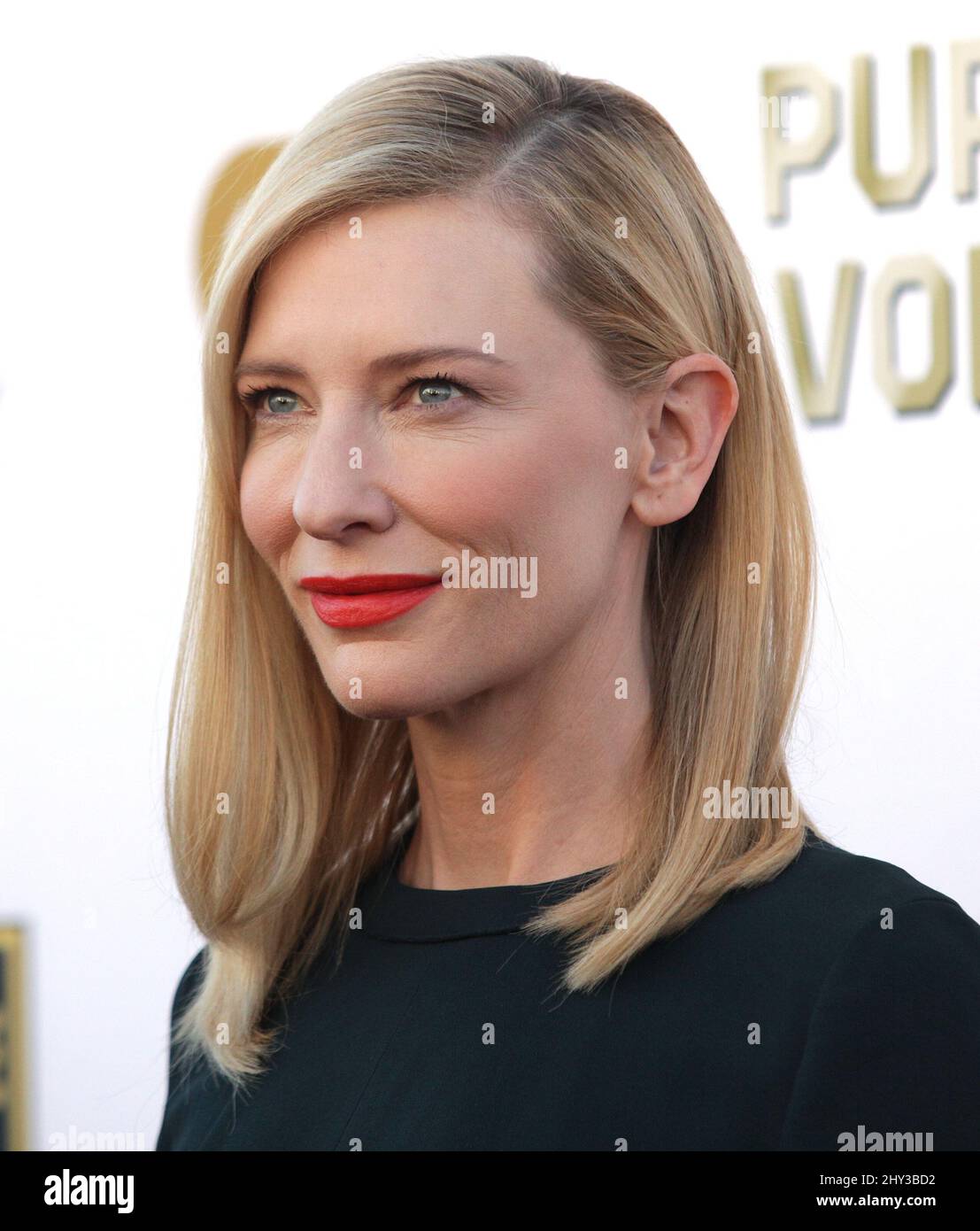 Cate Blanchett attending the 19th Annual Critics' Choice Movie Awards ...