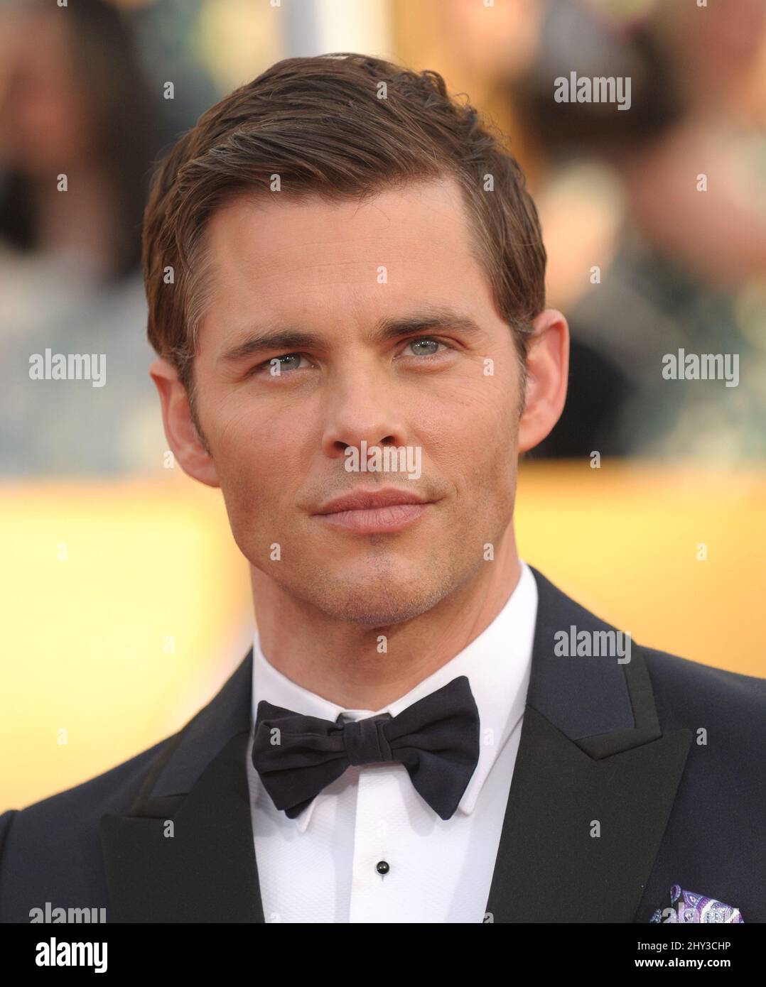 James Marsden attends the 20th Annual SAG Awards at Shrine Auditorium