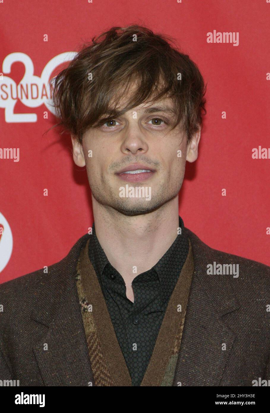 Matthew Gray Gubler attending the Life After Beth Premiere at the 2014 ...