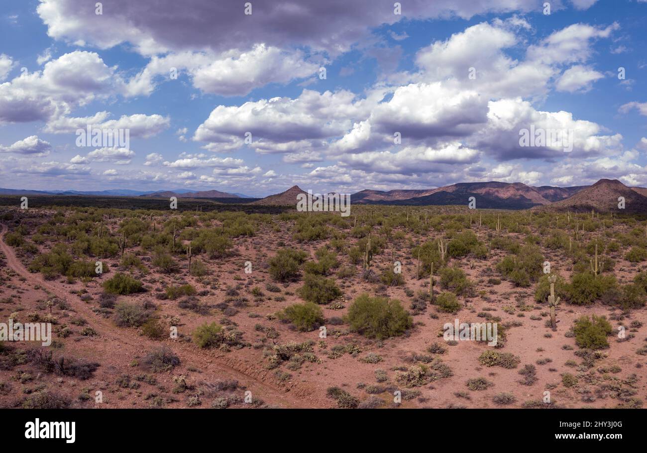 Tonto National Forest in Arizona with Native American ruins, Hohokam