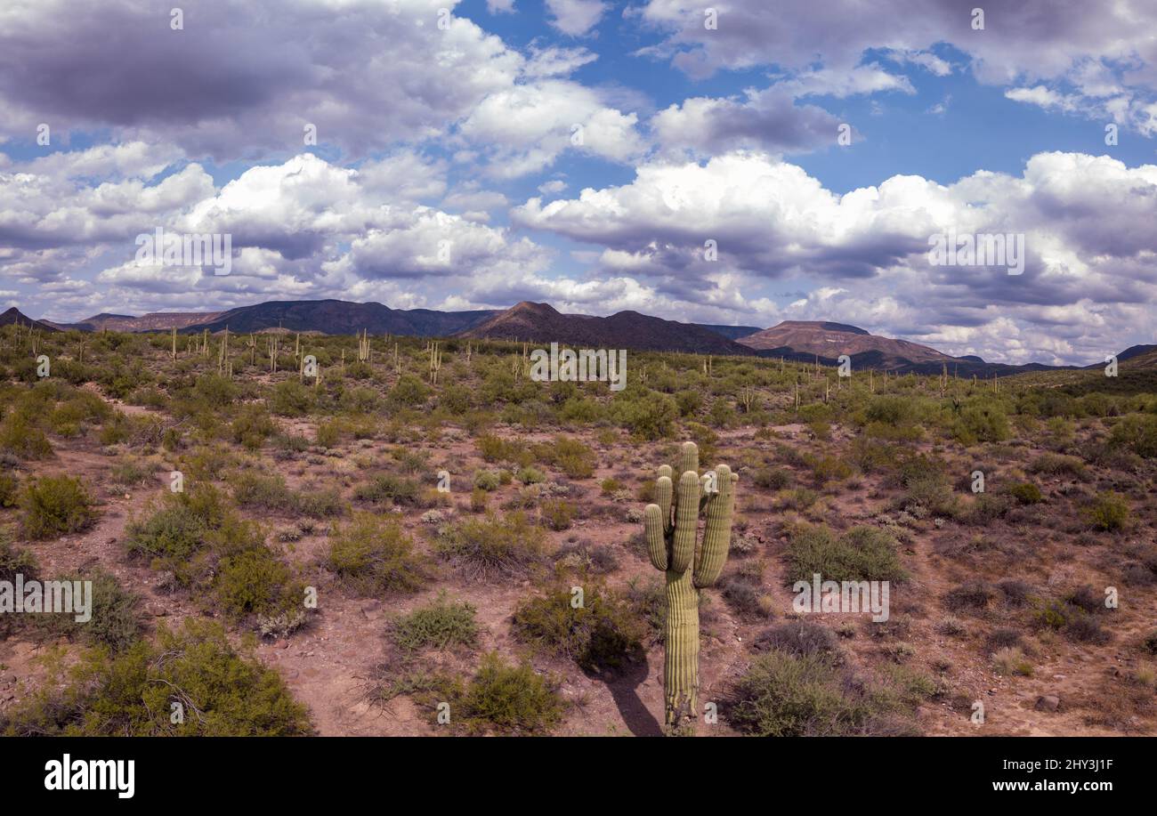 Tonto National Forest in Arizona with Native American ruins, Hohokam