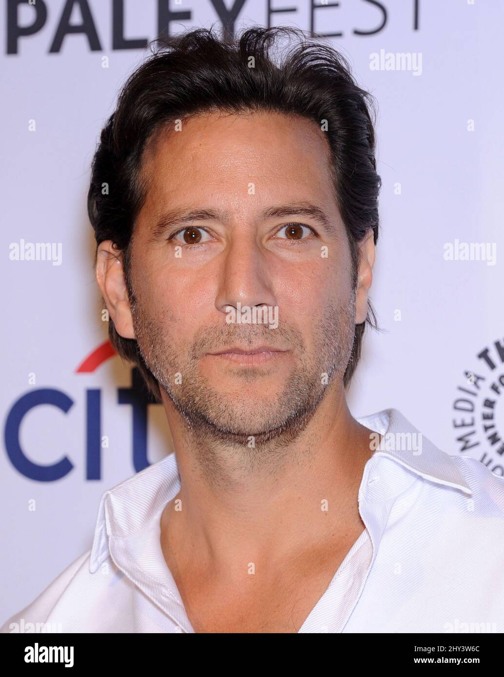 Henry Ian Cusick arrives for the Lost 10th Anniversary Reunion event during the 31st Annual PaleyFest held at the Dolby Theatre, Hollywood, Los Angeles. Stock Photo