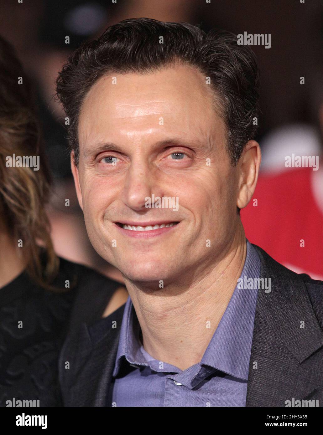 Tony Goldwyn attending the 'Divergent' Premiere in Los Angeles Stock