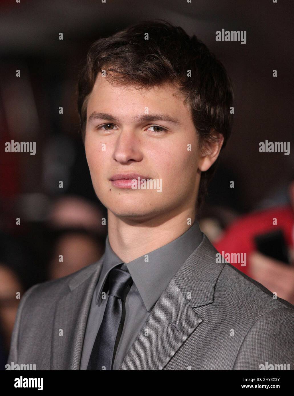Ansel Elgort Conjunto Divergente