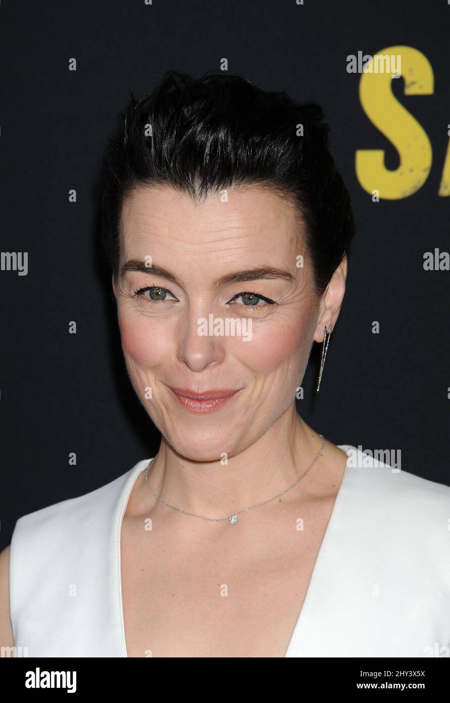 Olivia Williams attending the 'Sabotage' Premiere in Los Angeles Stock
