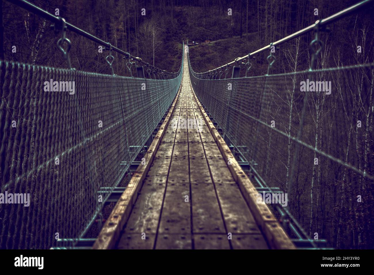 Suspension rope bridge in Hohe Schrecke,