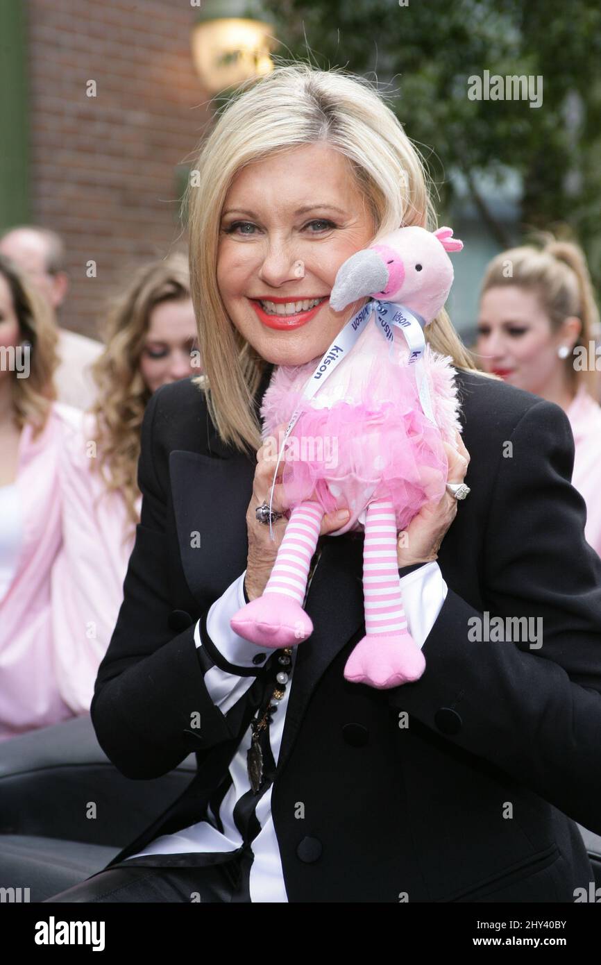 Olivia Newton-John arriving at the Las Vegas Strip where she will be performing 45 shows at the Flamingo Hotel and Casino. Stock Photo