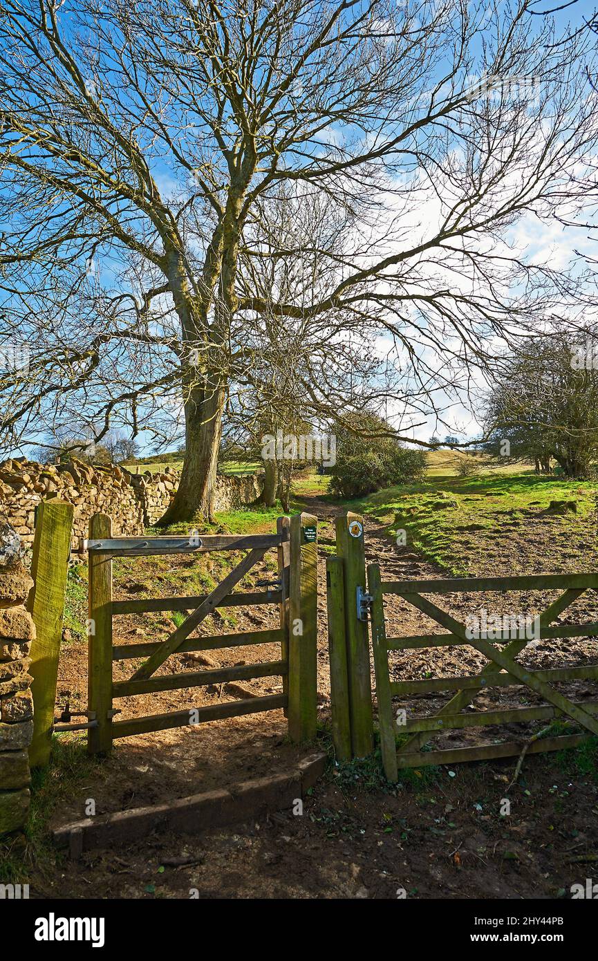 Wooden gates on the Public Footpath between Broadway and Fish Hill in the Cotswolds area of England. Stock Photo