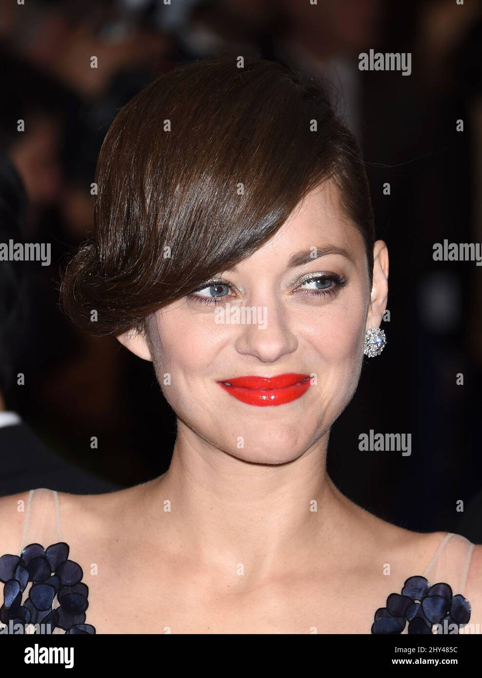 Marion Cotillard attending the Costume Institute benefit at the