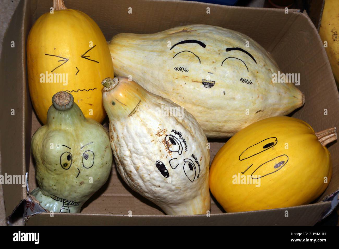 Faces Drawn on Various Squash Vegetables Stock Photo