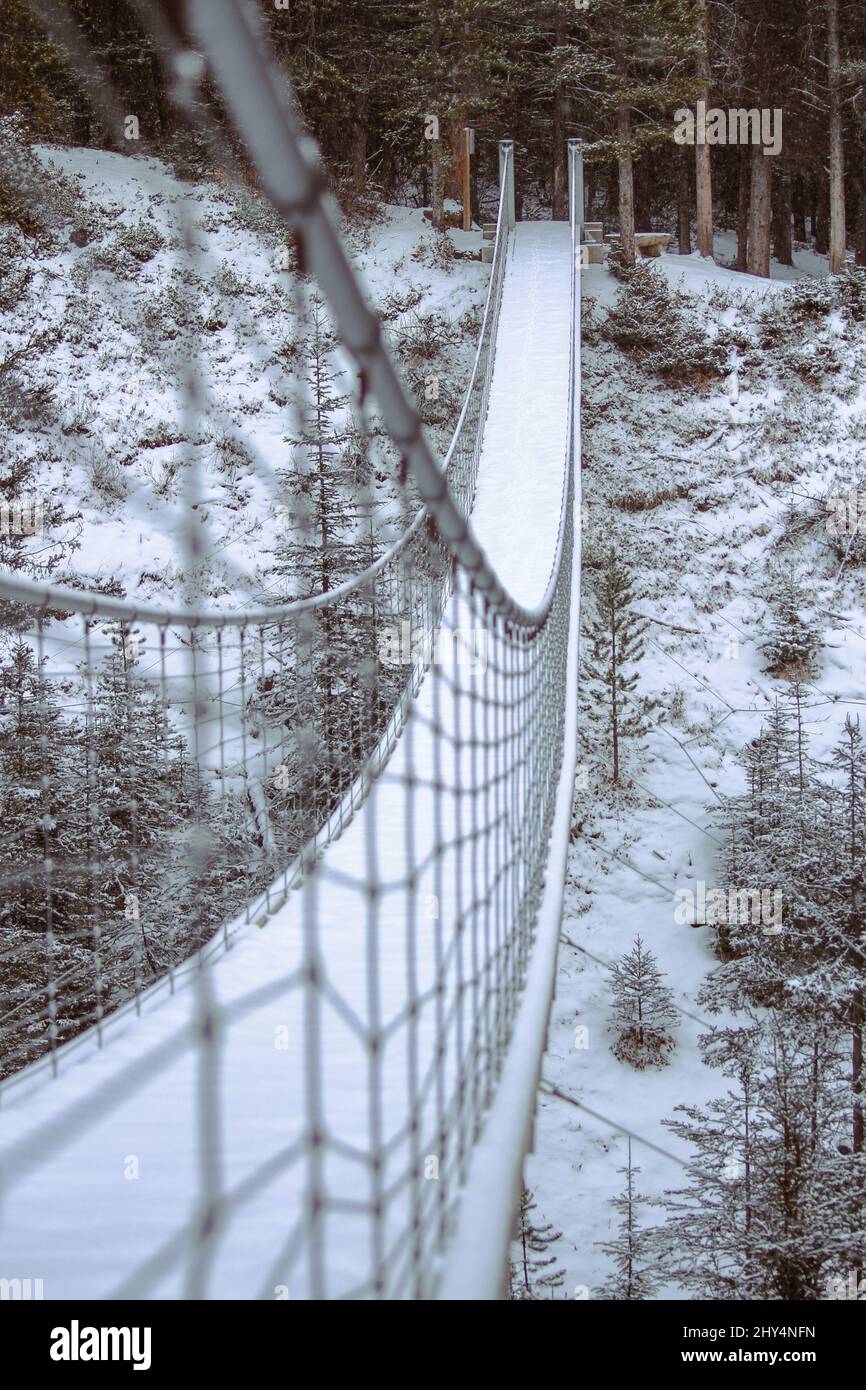 Vertical shot road covered hi-res stock photography and images - Alamy