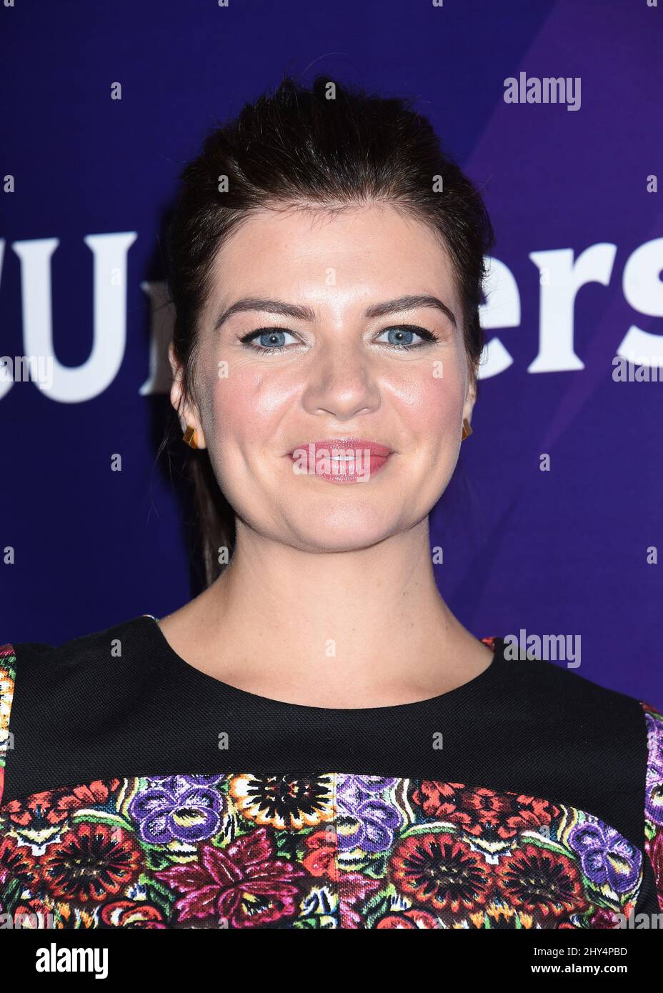 Casey Wilson attending the NBCUniversal Summer TCA Press Tour 2014 held